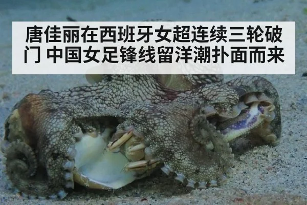唐佳丽在西班牙女超连续三轮破门 中国女足锋线留洋潮扑面而来