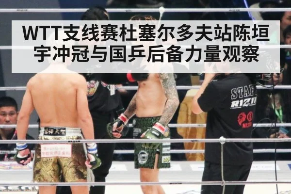 WTT支线赛杜塞尔多夫站陈垣宇冲冠与国乒后备力量观察